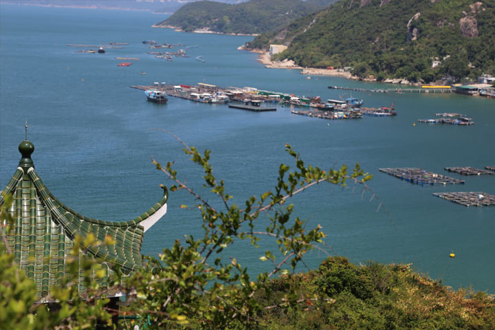 Retreat to Lamma Island